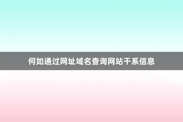 何如通过网址域名查询网站干系信息